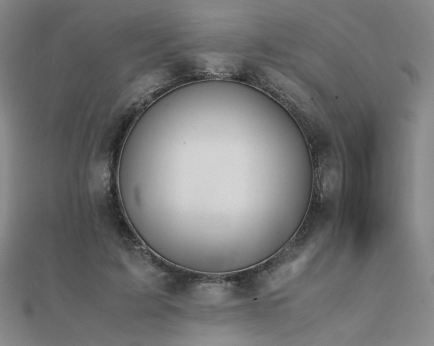 X0000112090595200908041452