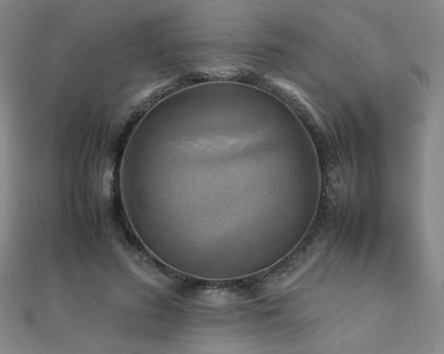 X0000112090596200908041452
