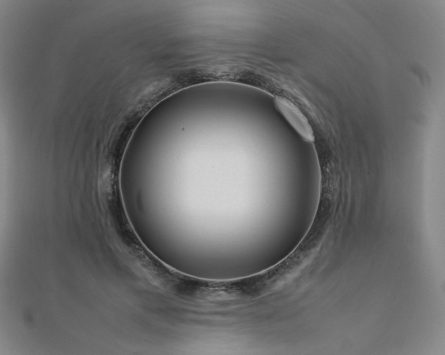 X0000112090597200908041452
