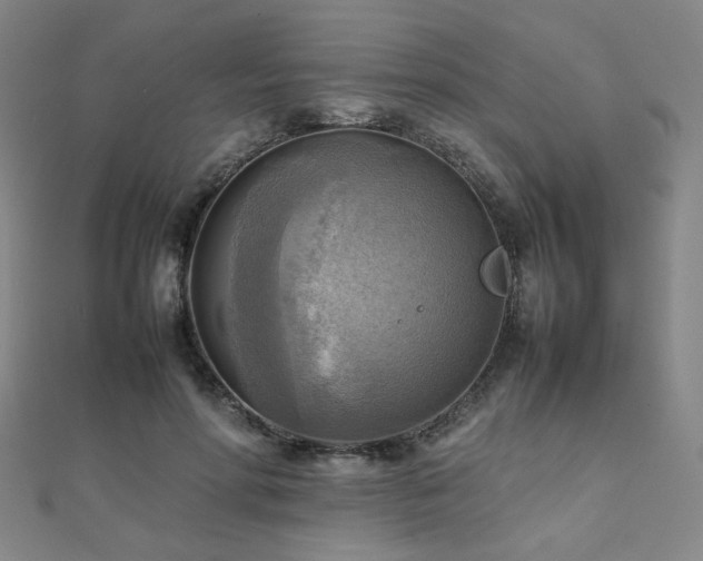 X0000112090598200908041452