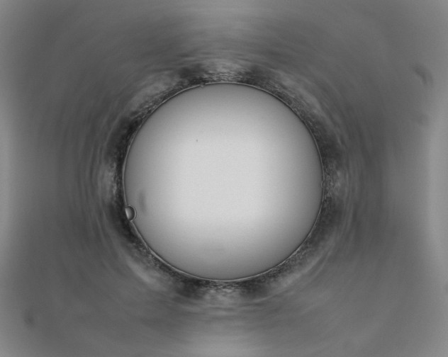 X0000112090599200908041452