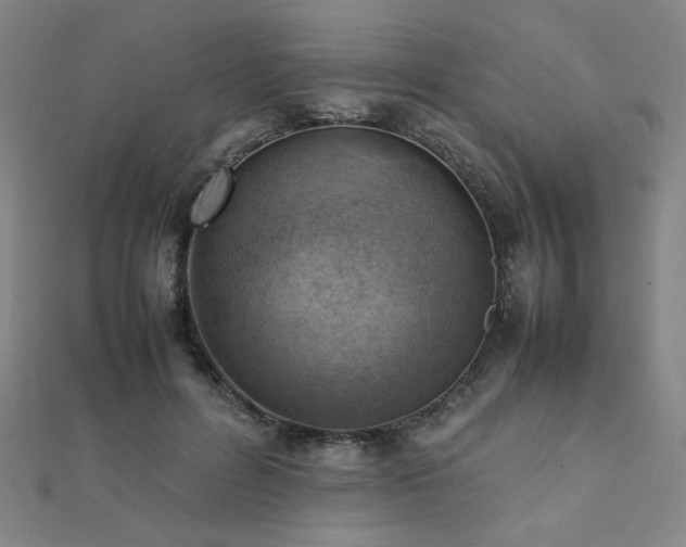 X0000112090600200908041452