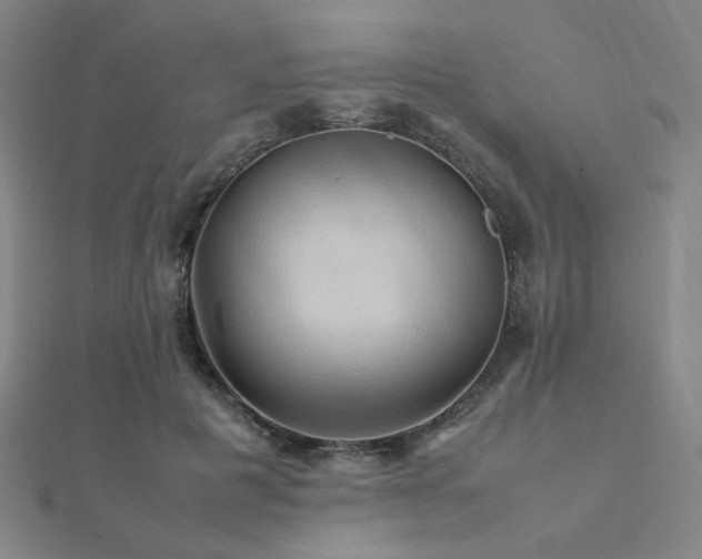 X0000112090601200908041452