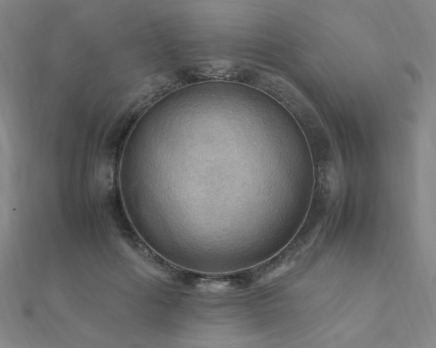 X0000112090602200908041452