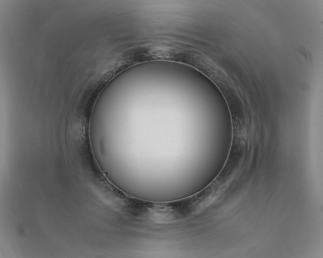 X0000112090603200908041452