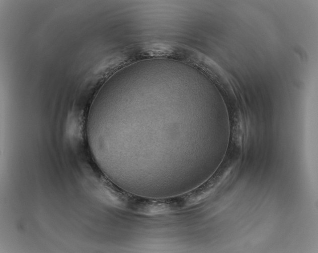 X0000112090604200908041452