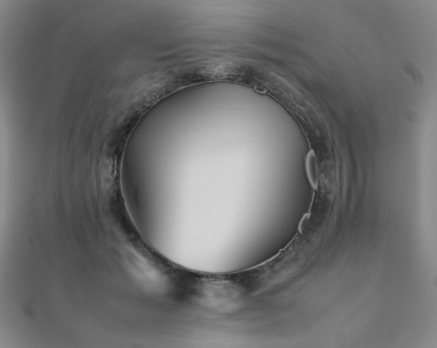 X0000112090605200908041452