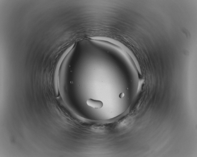 X0000112090606200908041452