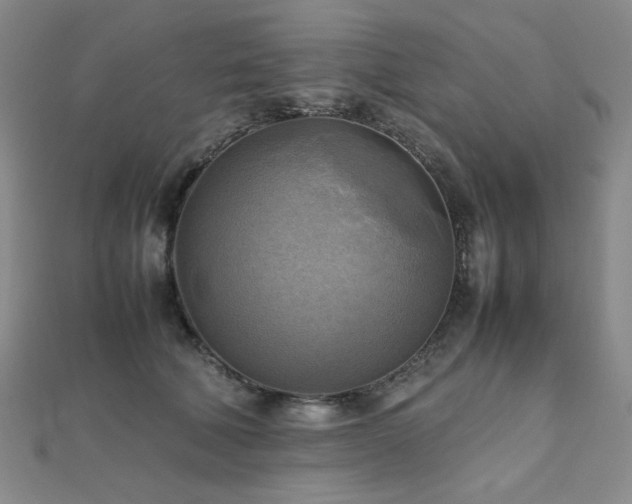 X0000112090610200908041452