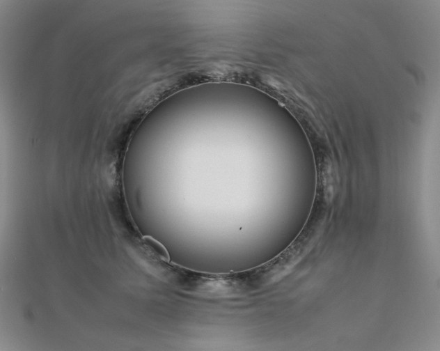X0000112090611200908041452