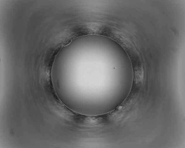 X0000112090613200908041451