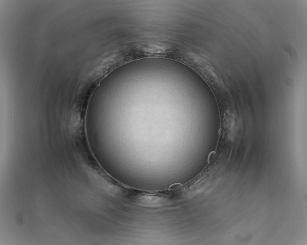 X0000112090614200908041451