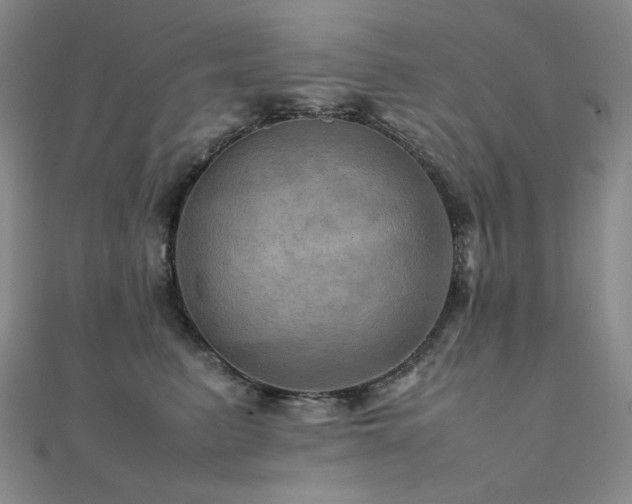 X0000112090615200908041451