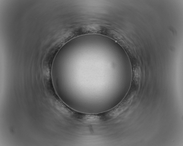 X0000112090617200908041451