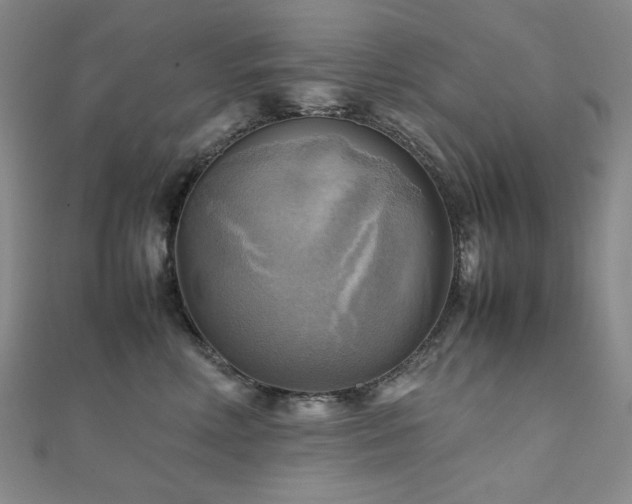 X0000112090618200908041451