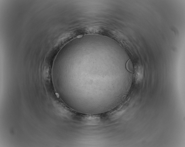 X0000112090619200908041451