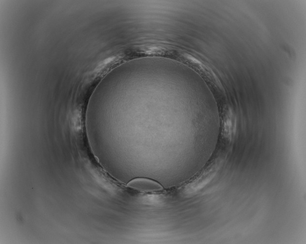 X0000112090620200908041451