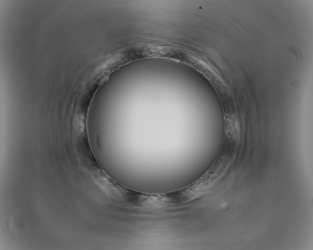 X0000112090621200908041451