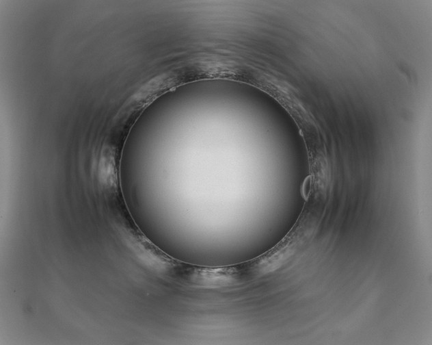 X0000112090622200908041451