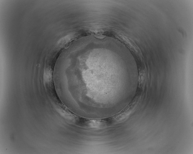 X0000112090623200908041451