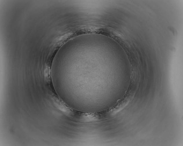 X0000112090624200908041451