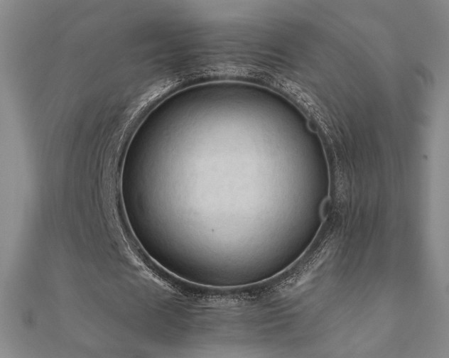X0000112090625200908041450