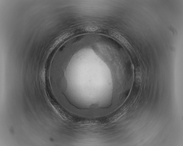 X0000112090626200908041450