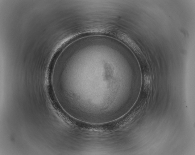 X0000112090628200908041451