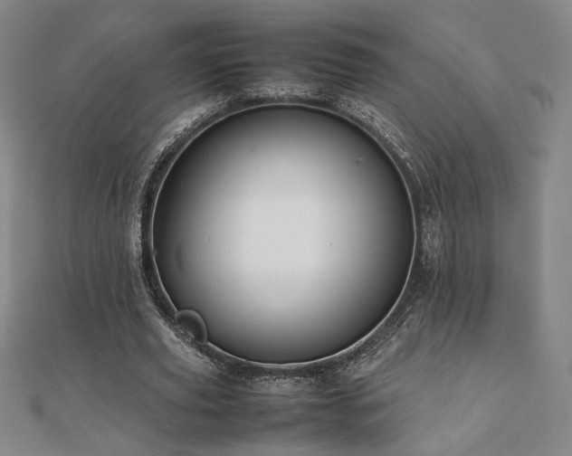X0000112090629200908041451