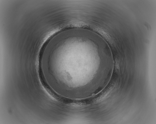 X0000112090630200908041451