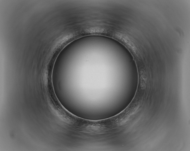 X0000112090631200908041451