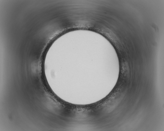 X0000112090632200908041451