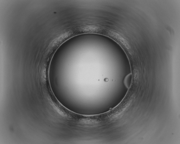 X0000112090633200908041451