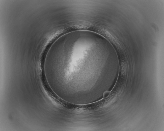 X0000112090634200908041451