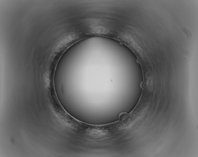 X0000112090635200908041451