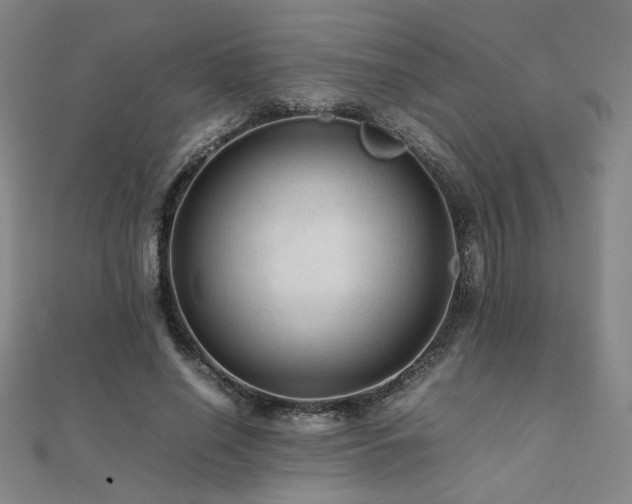 X0000112090638200908041451