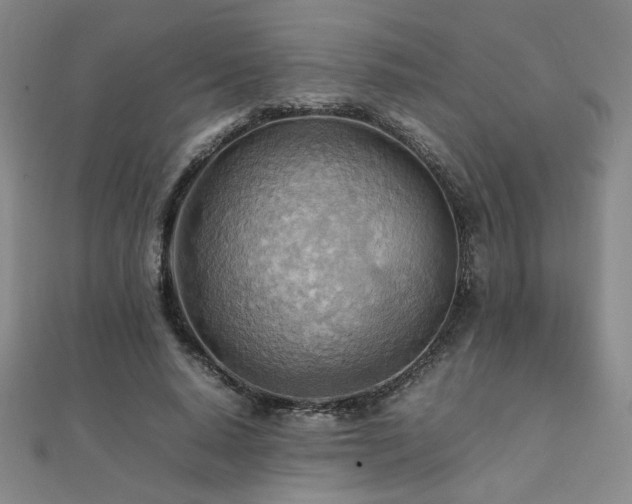 X0000112090640200908041451