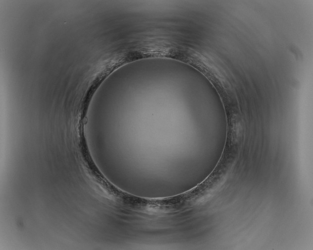 X0000112090641200908041451