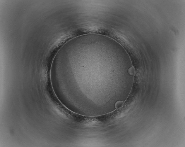 X0000112090642200908041451