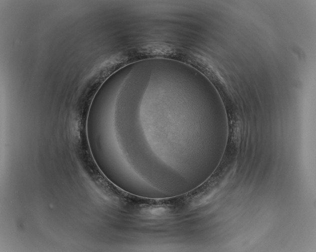 X0000112090643200908041451