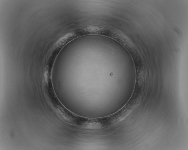 X0000112090644200908041451