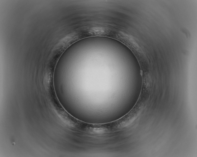 X0000112090645200908041451