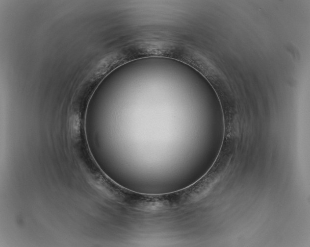 X0000112090646200908041451