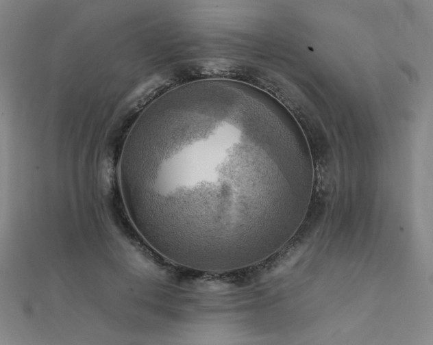 X0000112090648200908041451