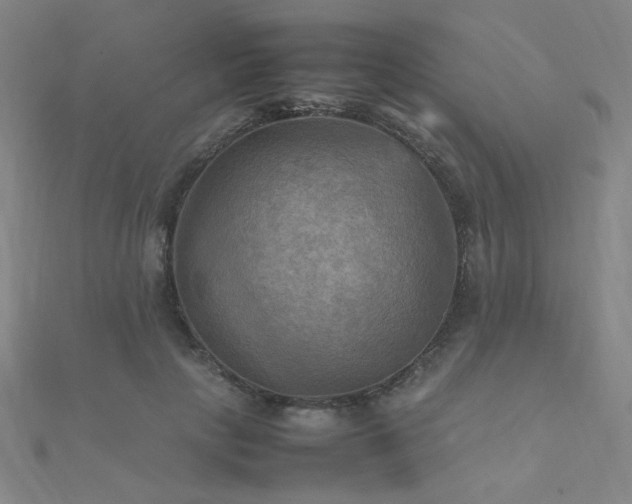 X0000112090649200908041451