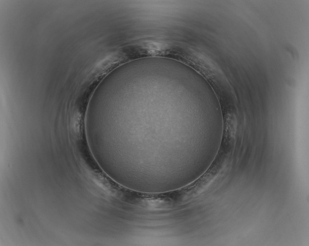 X0000112090650200908041451