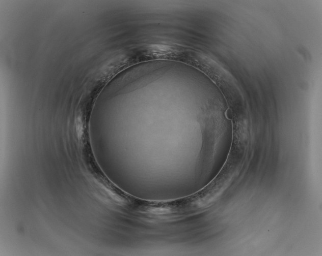 X0000112090653200908041451