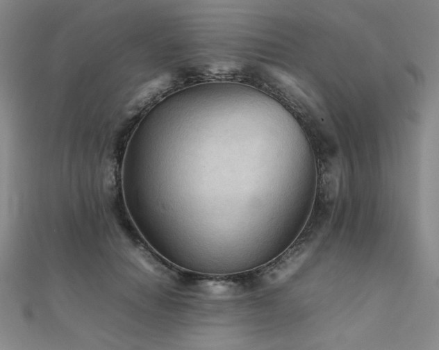 X0000112090654200908041451