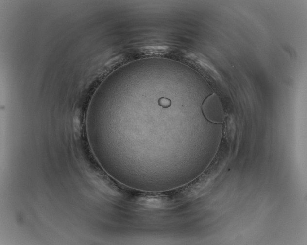 X0000112090655200908041451