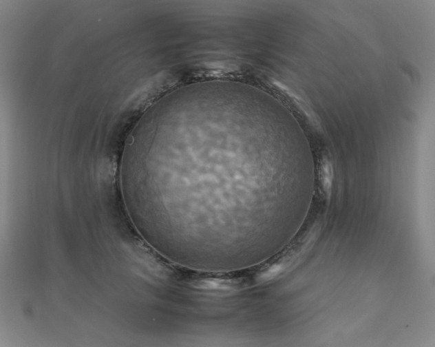 X0000112090657200908041451